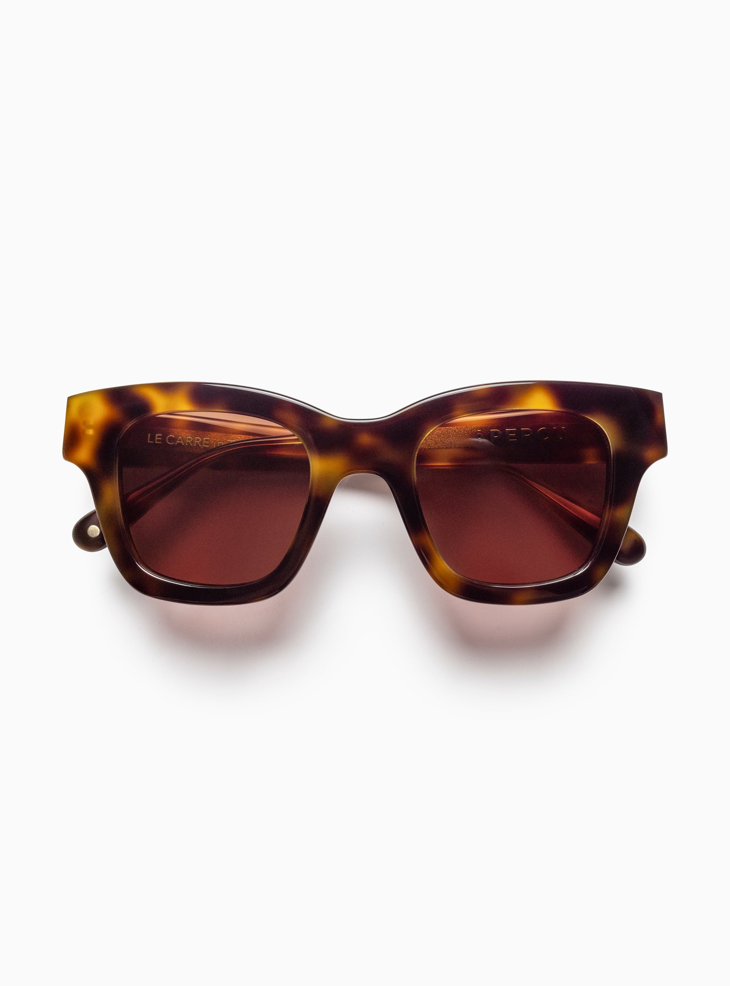 #color_Tortue