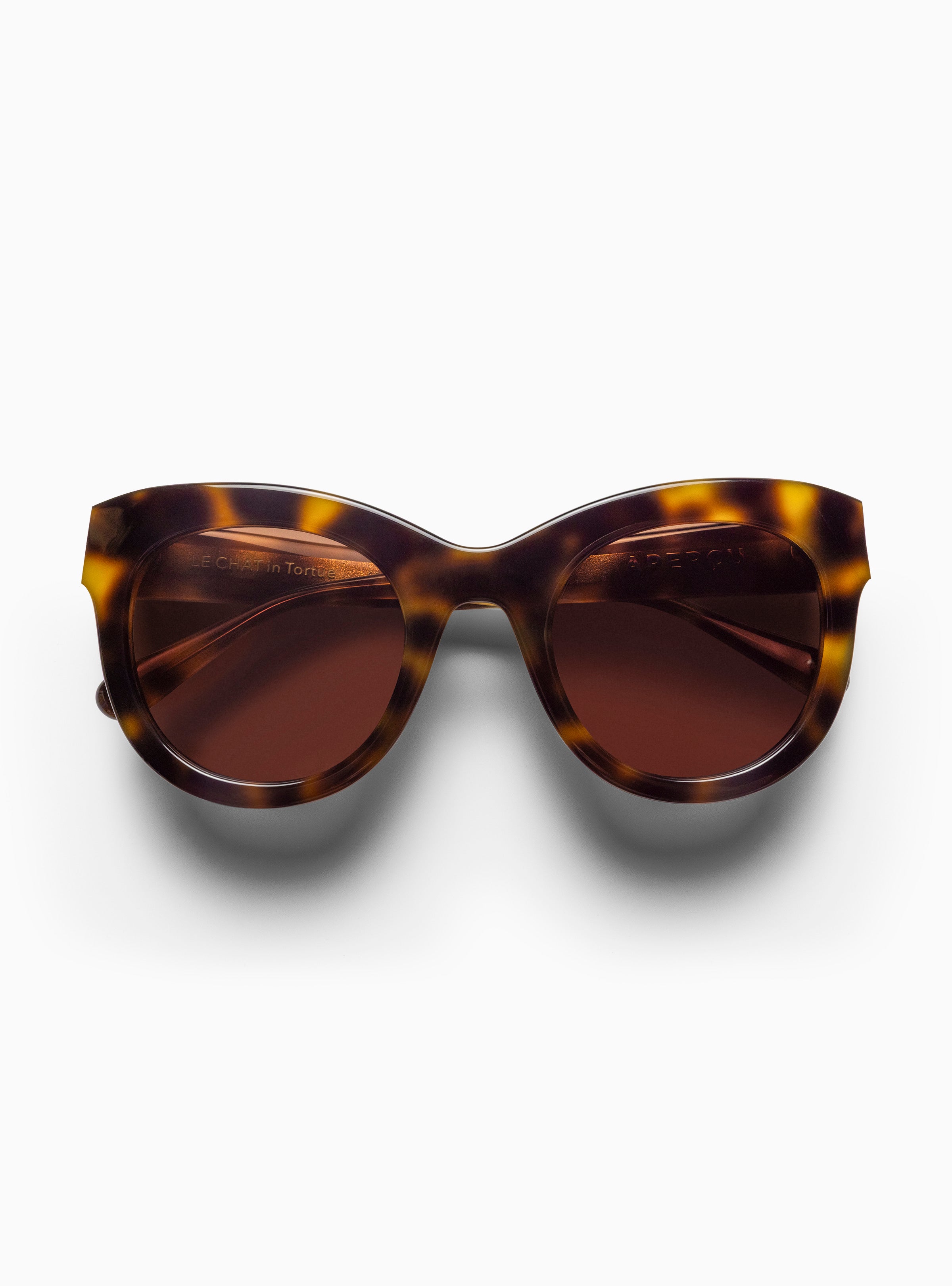#color_Tortue