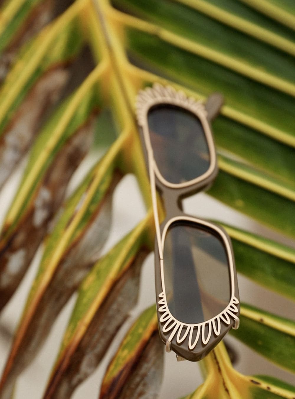 #color_Palm Clip Accessory