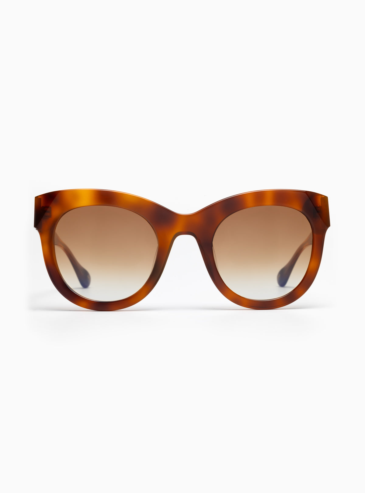 NEW APERÇU EYEWEAR women\'s le chat sunglasses in cognac 01 Le Chat // Essential Silhouettes // Sunglasses main image 2